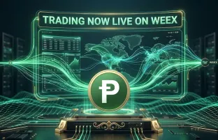 Pepecoin listed on WEEX exchange