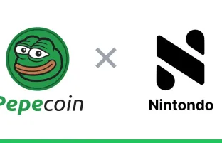 Pepecoin Listed on NINTONDO